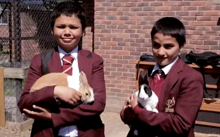 Inner City School Farm – What Works